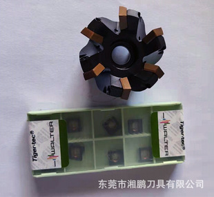 F2230.B.040.Z06.05 �b�d�ߠ���SDMT09T3��Ƭ 45�ȵ��P