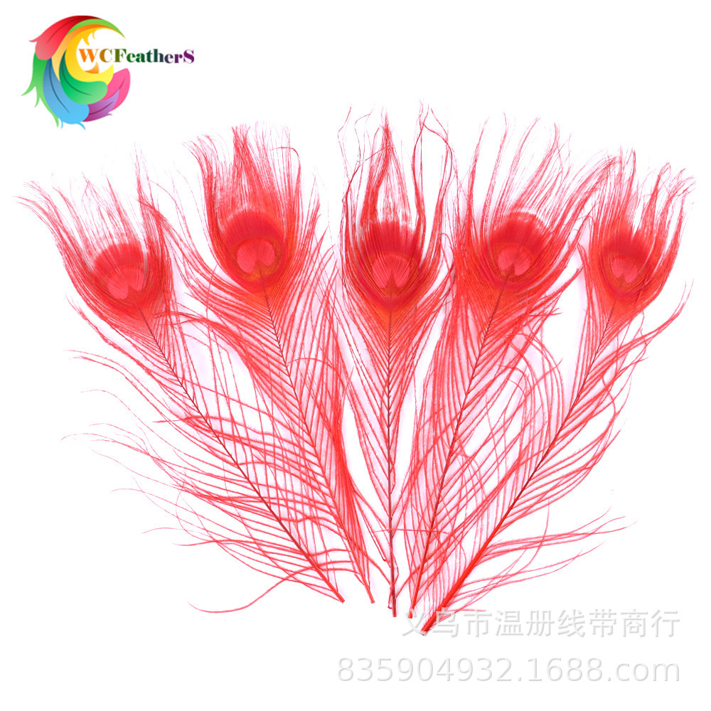 温册厂家直销天然孔雀羽毛DIY家居花瓶装饰婚庆道具新娘胸花材料详情图14
