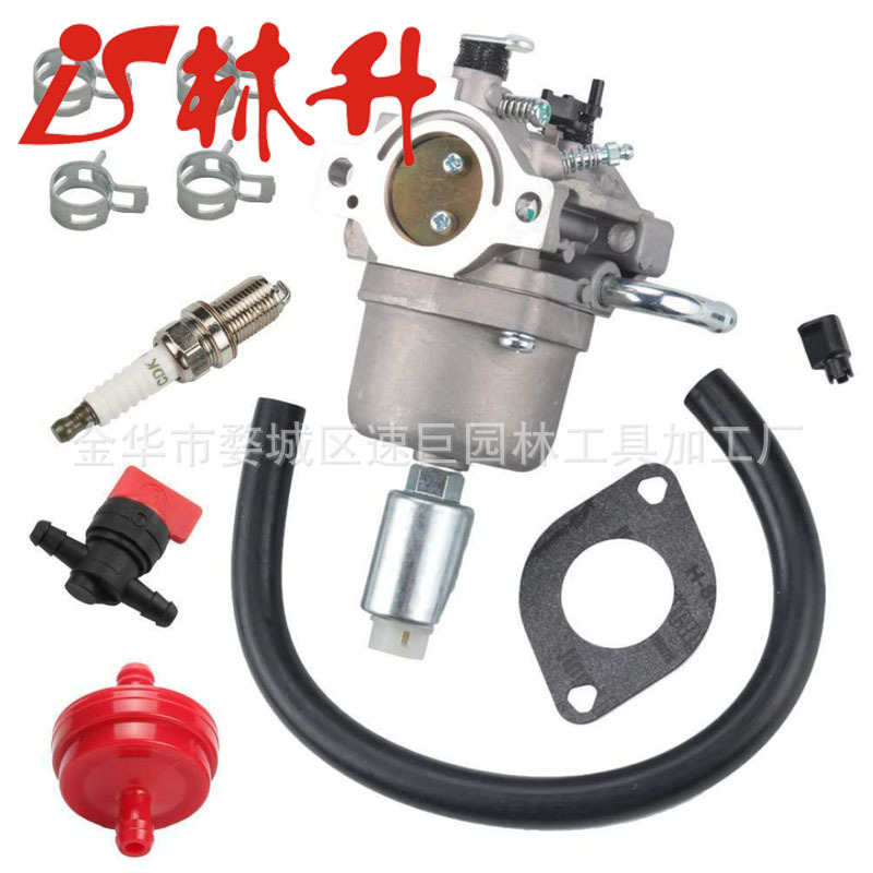 Carburetor 796109 591731 59459