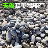 Корт -корт для булыжника, прокладывающая мощеные мелкие рыбные аквариумы декоративный ландшафтный камень.