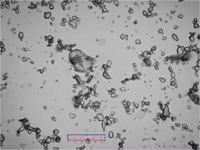 mmexport1551773193729