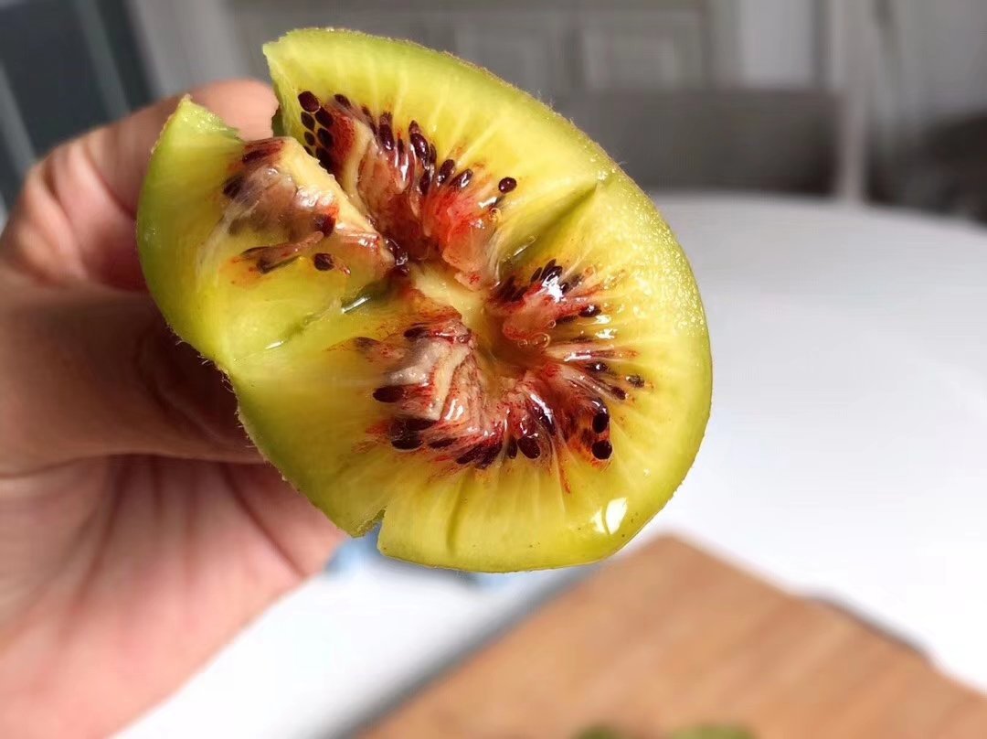 产地现摘四川蒲江红心猕猴桃特大果20枚装奇异果当季新鲜水果批发