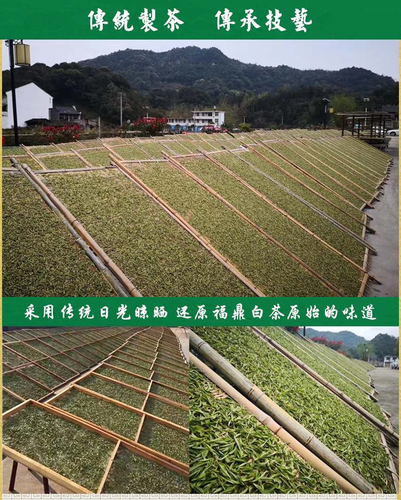 IMG_095820194013_副本022