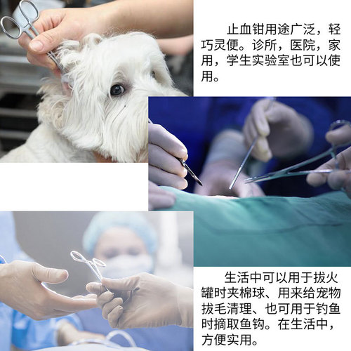 Ear hair pliers dog ear hair plucking Teddy cat hemostatic pliers pet dog ear cleaning supplies 6