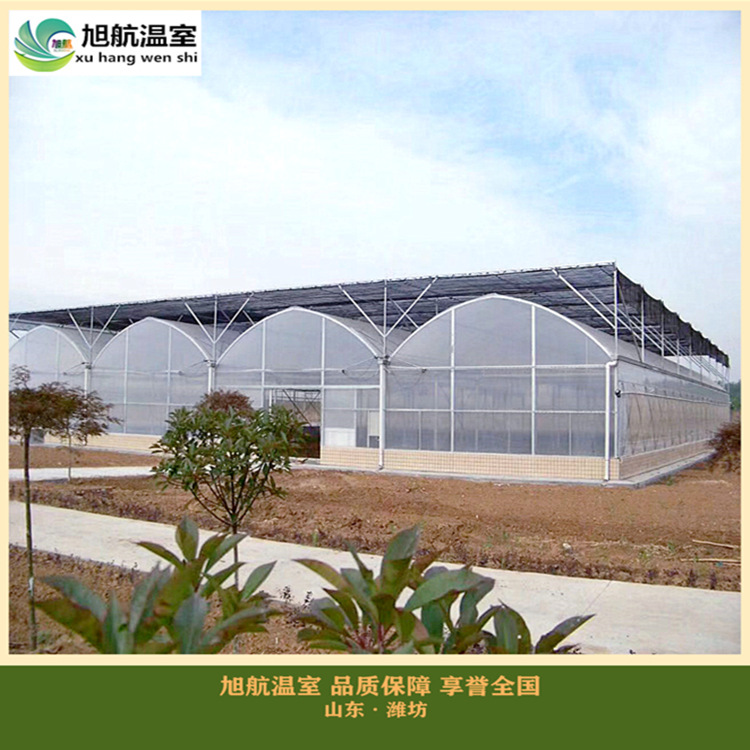 weixintupian_20181223110627_副本