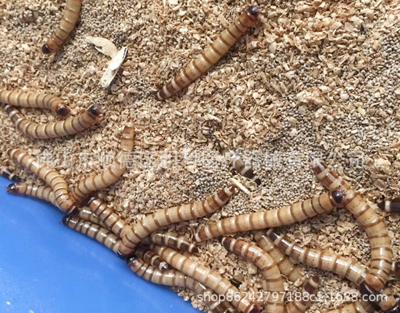 9530158659_2070045272