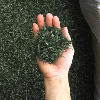 2019新茶毛尖明前綠茶廠家直發松針茶葉批發