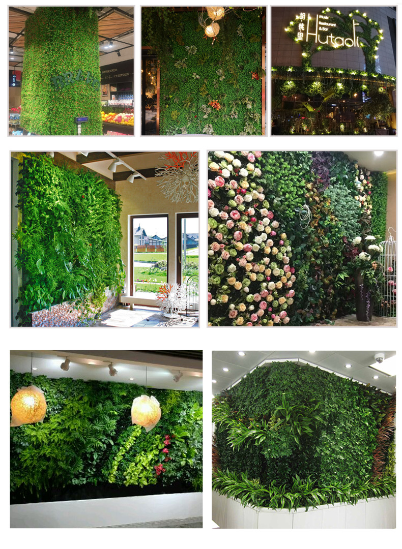 小植物_14.jpg