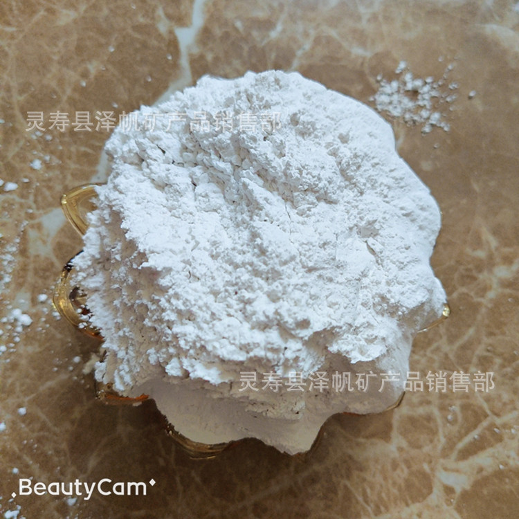 填充料滑石粉1250目 2000目  3000目  4000目高白粉末