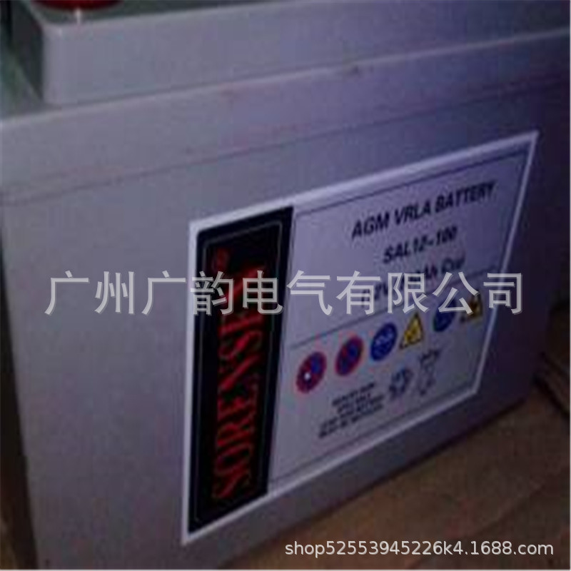 索润森SAL100-12蓄电池 代理索瑞森12v100ah机房 报价