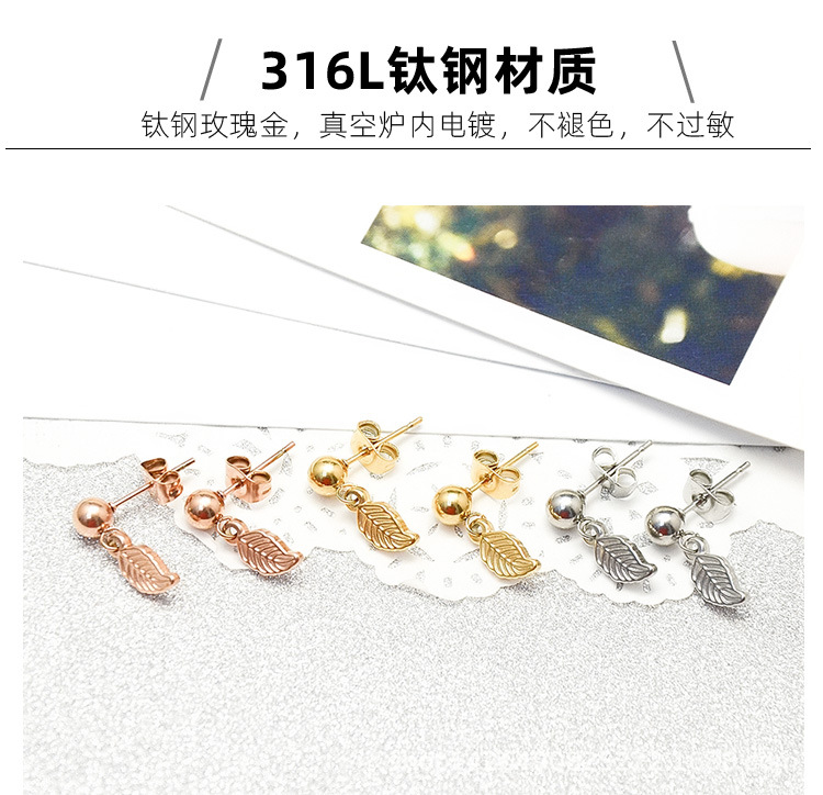 Fashion New Titanium Steel Earrings display picture 13