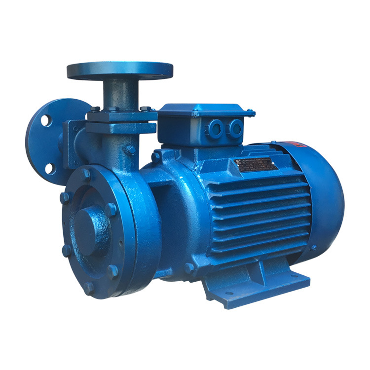 【厂家直销】40W4-130旋涡泵  锅炉给水泵 喷淋 高层供水 扬程高