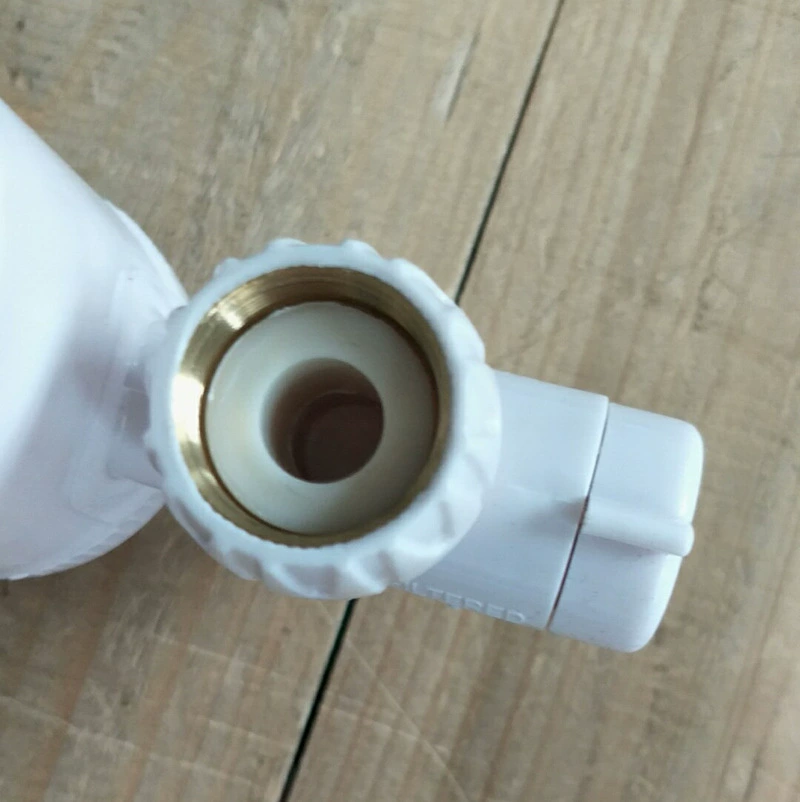 SWS оригинальные товары медный зуб охрана окружающей среды водяная охрана новый внешний торговый бытовой кран очиститель воды водяная машина прямые продажи с завода