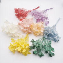 diyɭϵ���滨�^�����ػ���ñ������ֲ�q��˪�G�~�Ҹ���ˮ�ɻ�