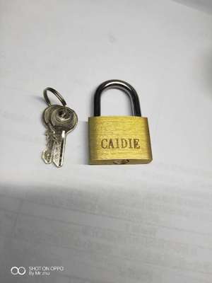 30B Copper padlock Manufactor Produce support customized