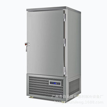 厂家批发超低温速冻冰箱 -40度小型速冻柜全国联保 速冻柜供应