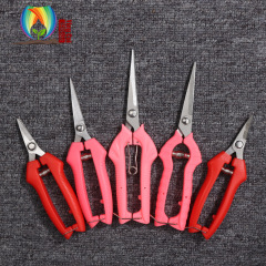 Manufacturer Direct Sales Stainless Steel Cherry Picking Scissors, Nutmeg Pruning Shears, Grape Thinning Shears, Branch Pruning Shears, Tip Straightening Picking Scissors