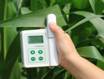 ZYS-A叶绿素测定仪ZYS-B