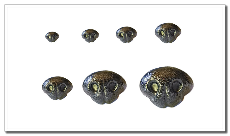 详情 详情一实.jpg