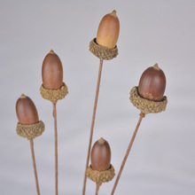 ȻɻҾӻbıWinsLĔzDIYֹl