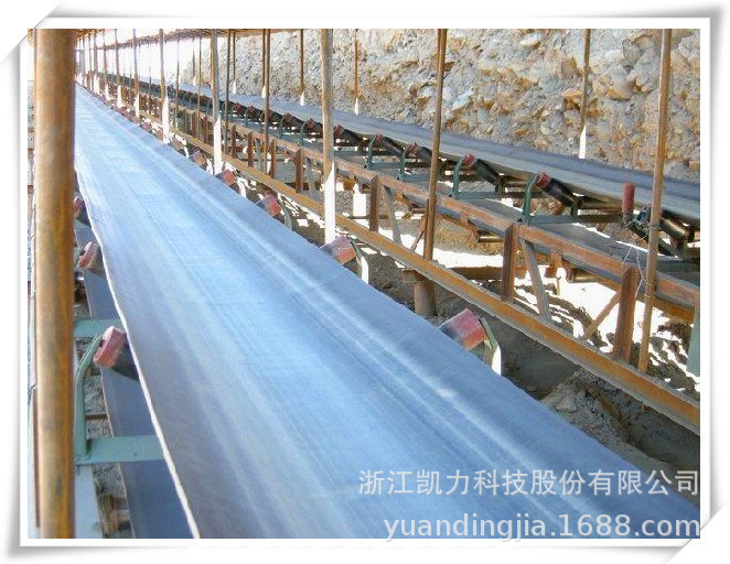 零下40度耐寒耐低温尼龙橡胶输送带生产厂家