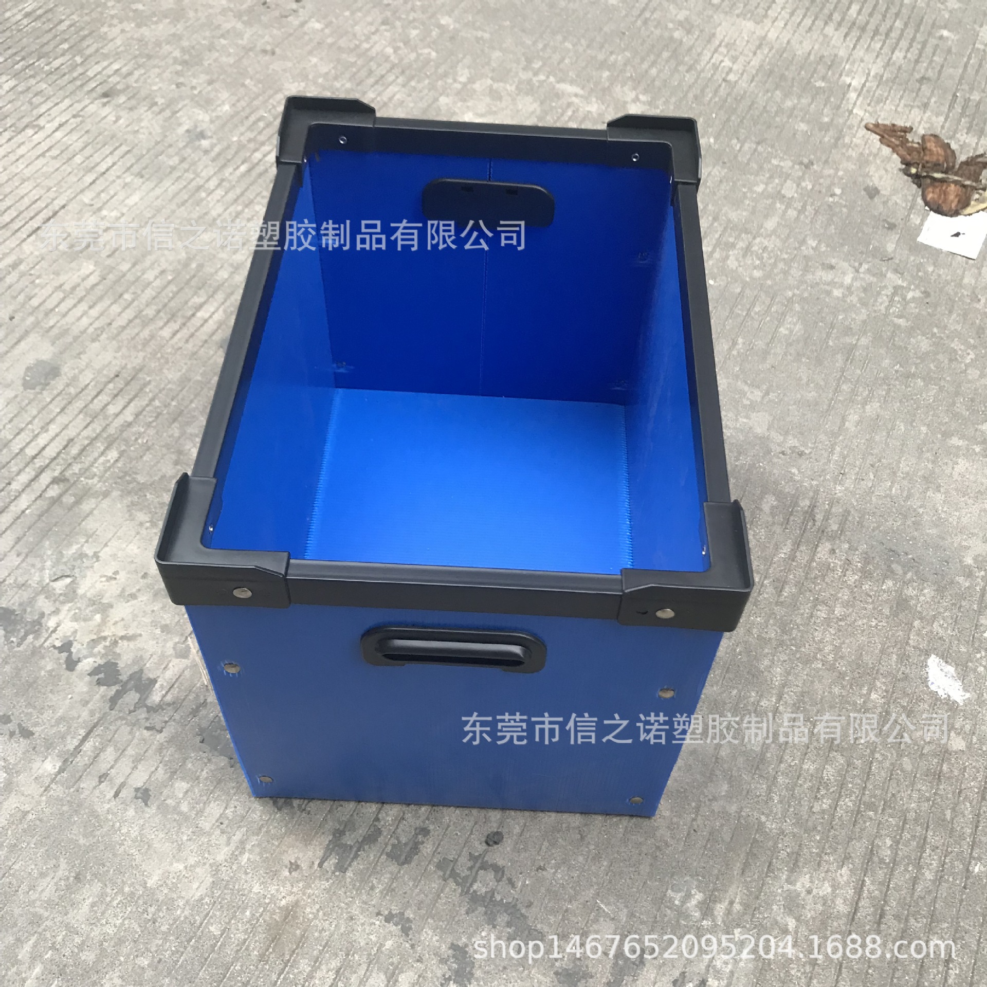东莞蓝色PP塑料收纳箱 广州中空板折叠式塑料周转箱 纸箱型周转箱