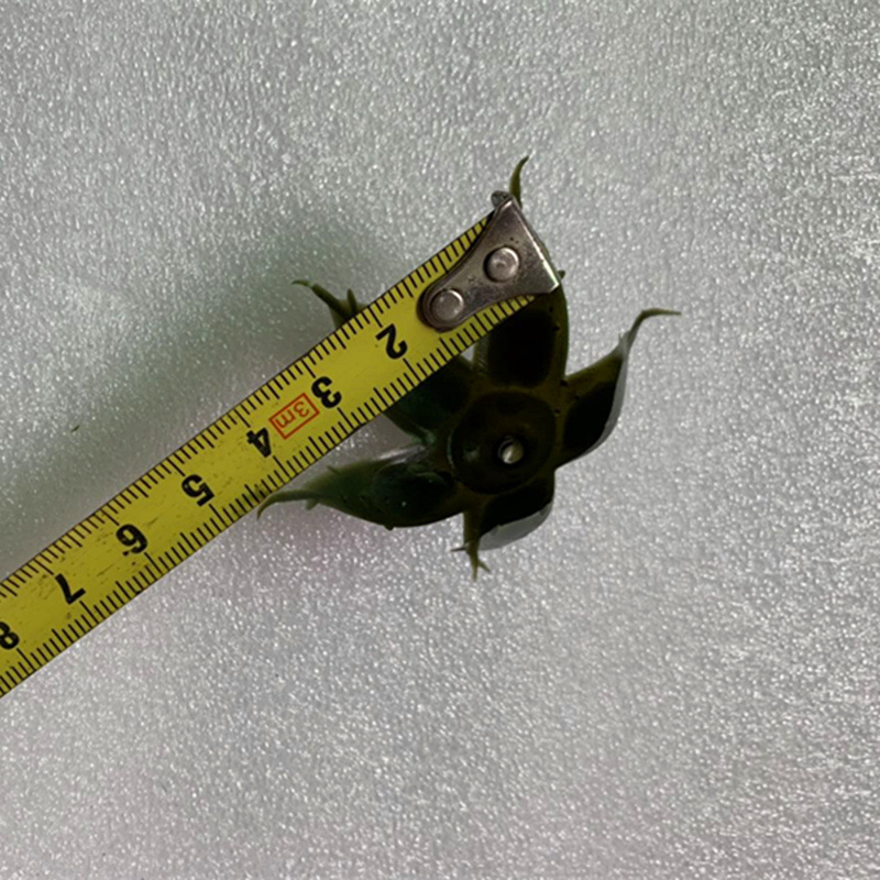 微信图片_201905261035221