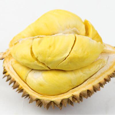 一件代发榴莲新鲜 金枕头榴莲水果带壳香甜热带水果批发
