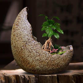 兰花盆月亮陶瓷室内复古中国风花盆带托简约花盆文竹菖蒲多肉