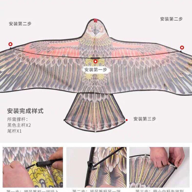 11927475972_379416190