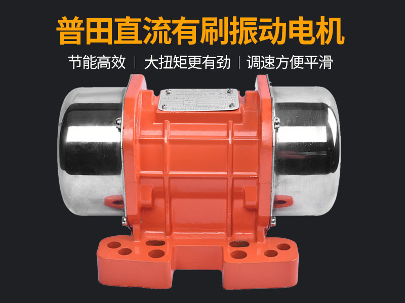 MVE200DC普田直流有刷12V24V160W振