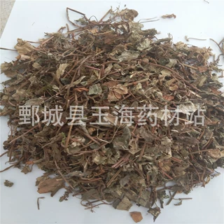 金钱草 玉海药材批发各种中药材