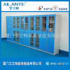 Laboratory furniture Drug cabinet cupboard Sample cabinet File cabinet Reagent cabinet Locker