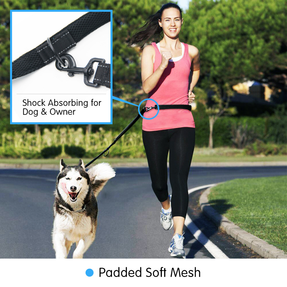 道顿多功能狗狗牵引绳2米反光防爆冲缓冲绳双牵可调节长短牵引带