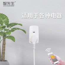 智先生无线温控器小型wifi控温插座插入式恒温器加热片控温厂家