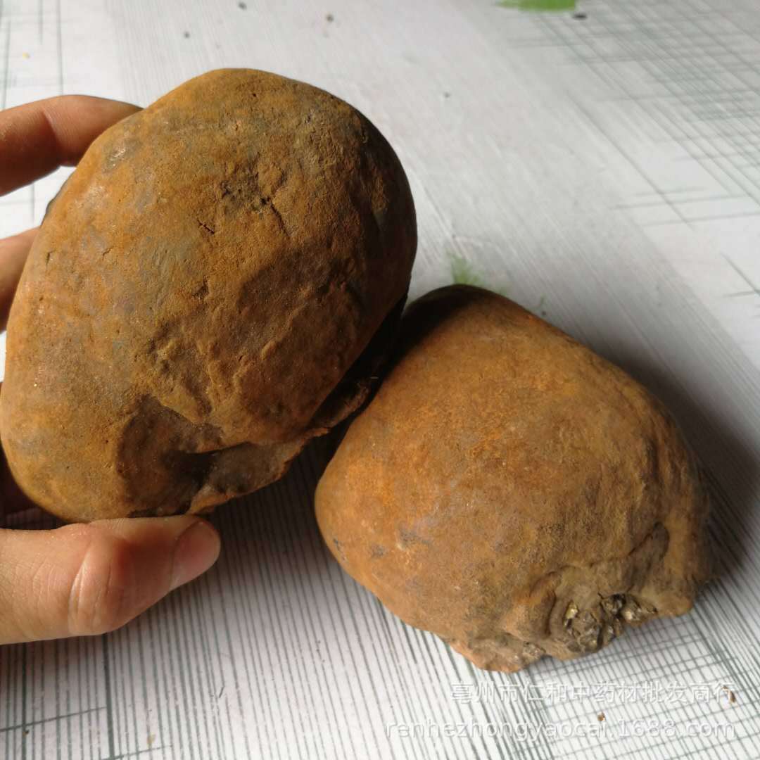 Sang Huang Mulberry Yellow Fungus Dried Phellinus 500g Bulk Herbal Ingredient for Cooking and Decoction overview