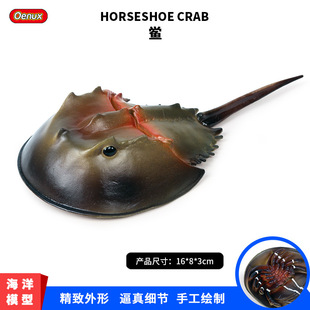 ��ͯ���溣�����ģ�ͺ�������������A�c�R��з�����c�~����[��