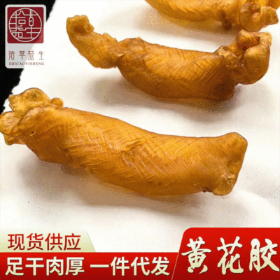 批发泰国深海陈年黄花胶 足干厚肉黄花胶筒鱼肚海产干货海产品|ru