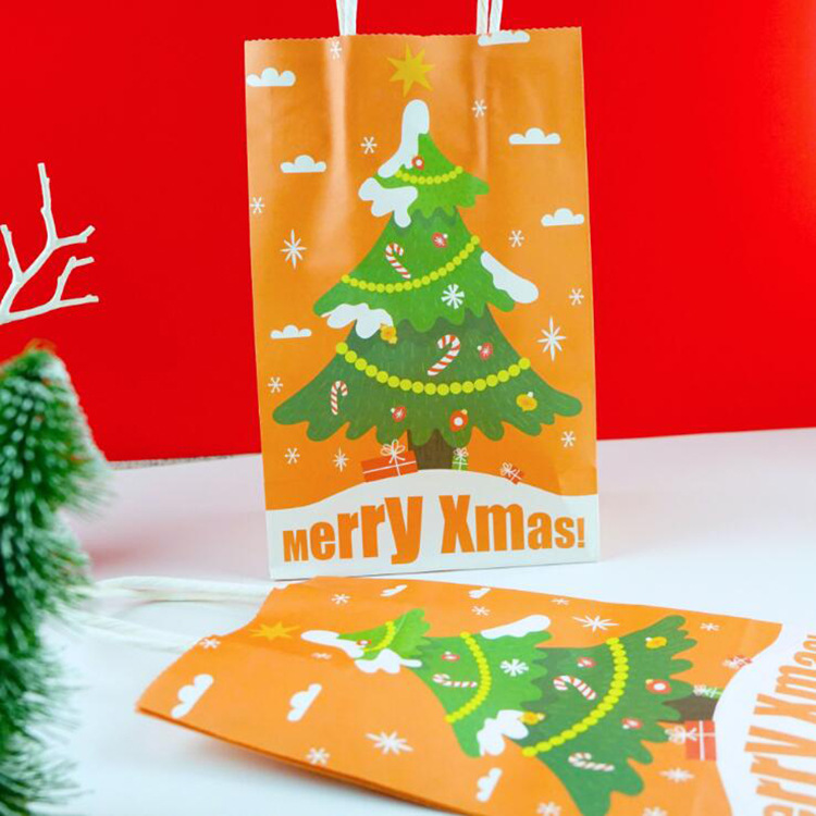 Christmas gift bag