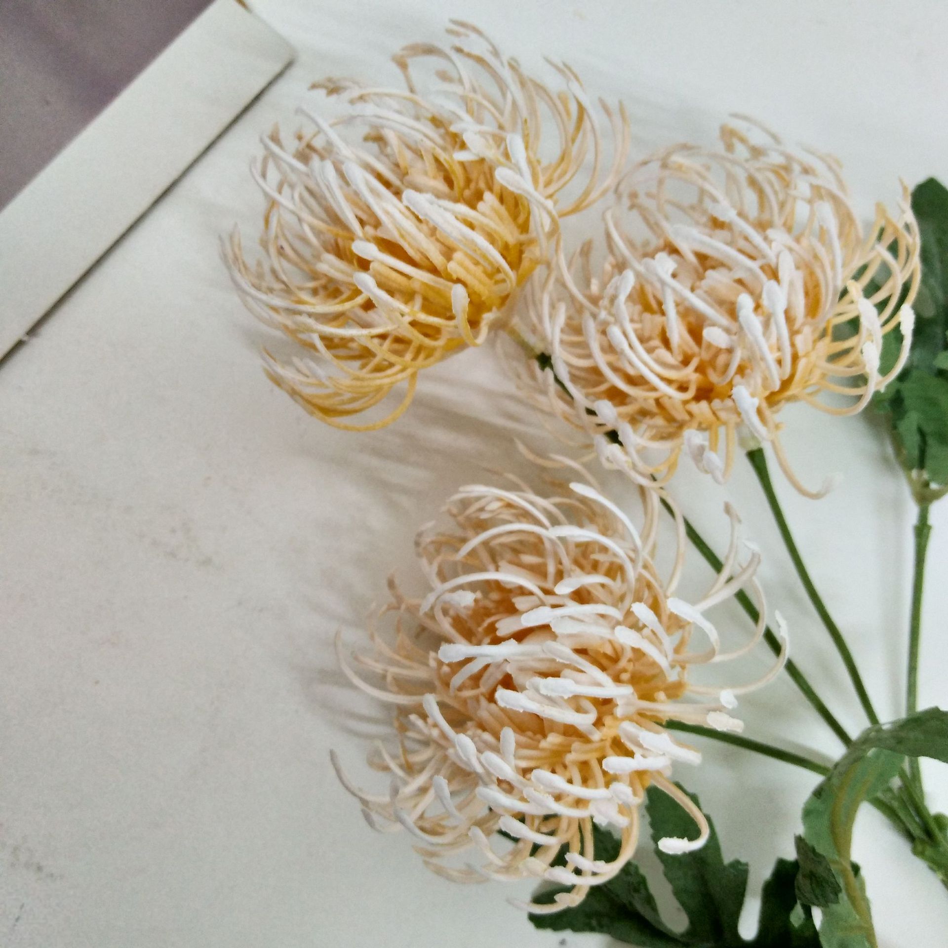 微信图片_201906061147153