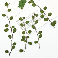 Чиба bracketplant настоящий лист тисненая настольная лампа свеча растение образец Сушеный Цветок Закладка декоративный сушеный цветок