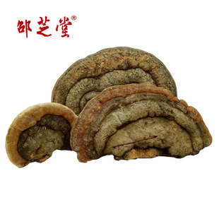 �����L��ɽ�r���Բ� �����`֥ �t���ӿ׾� �Ϙ�ƽ�wľ�����l����