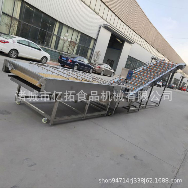 直销根茎类蔬菜清洗机 毛棍果蔬去皮清洗机 批发毛辊去皮清洗机