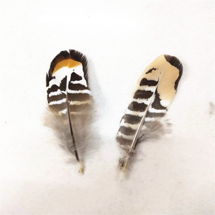 QQ图片20190411142308_副本