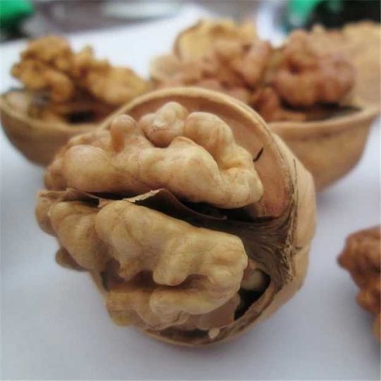 微信图片_20190903132911