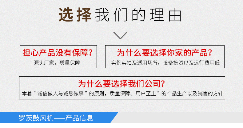 济南灿鸿环保工程有限公司罗茨鼓风机详情页_03