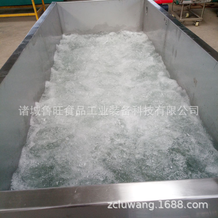 气泡翻浪式果蔬清洗机 全不锈钢中药材清洗机 大枣冬枣清洗机