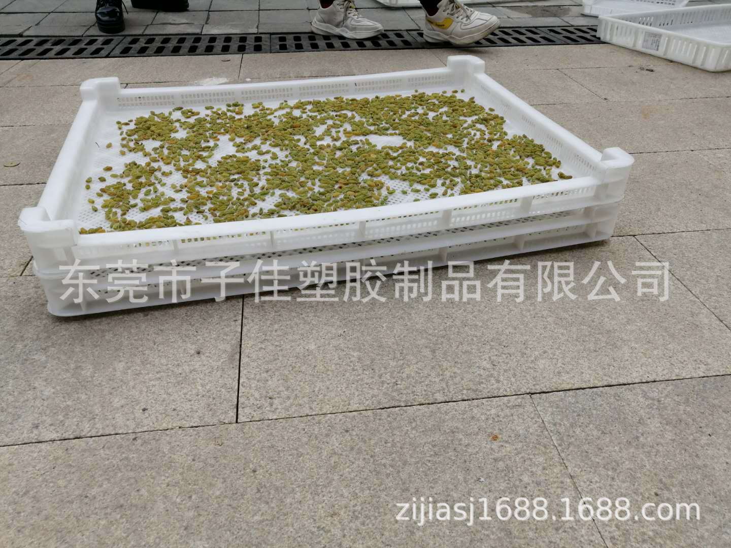 供应多款尺寸塑胶冷冻盘 烘干盘 810*595*70周转盘