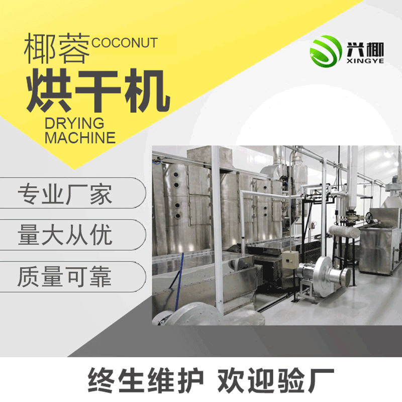 厂家供应椰蓉烘干机 热风沸腾干燥机 连续式GZY-250椰蓉干燥