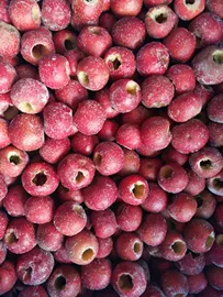 速冻果蔬类;冷冻蔬菜;草莓干